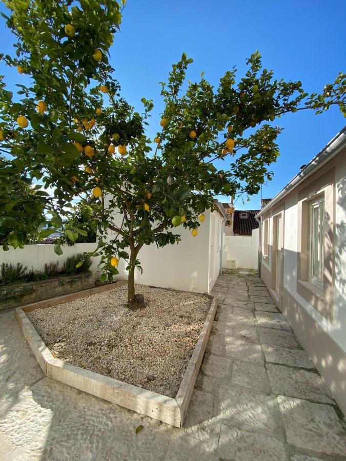 Se Velha Studios Coimbra Exterior photo
