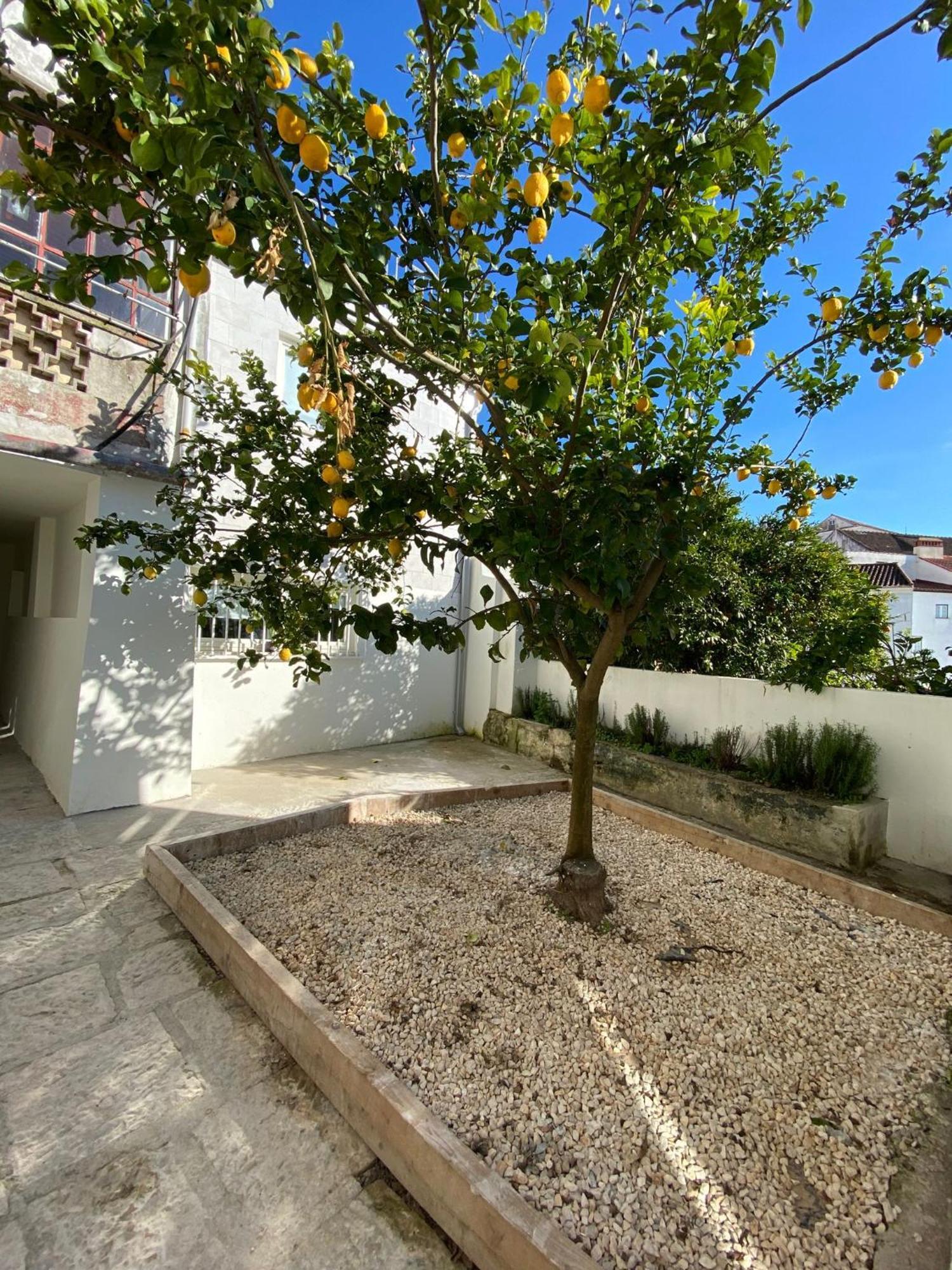 Se Velha Studios Coimbra Exterior photo